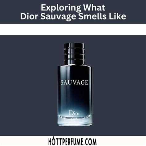 sauvage dior smells like|is Dior Sauvage worth it.